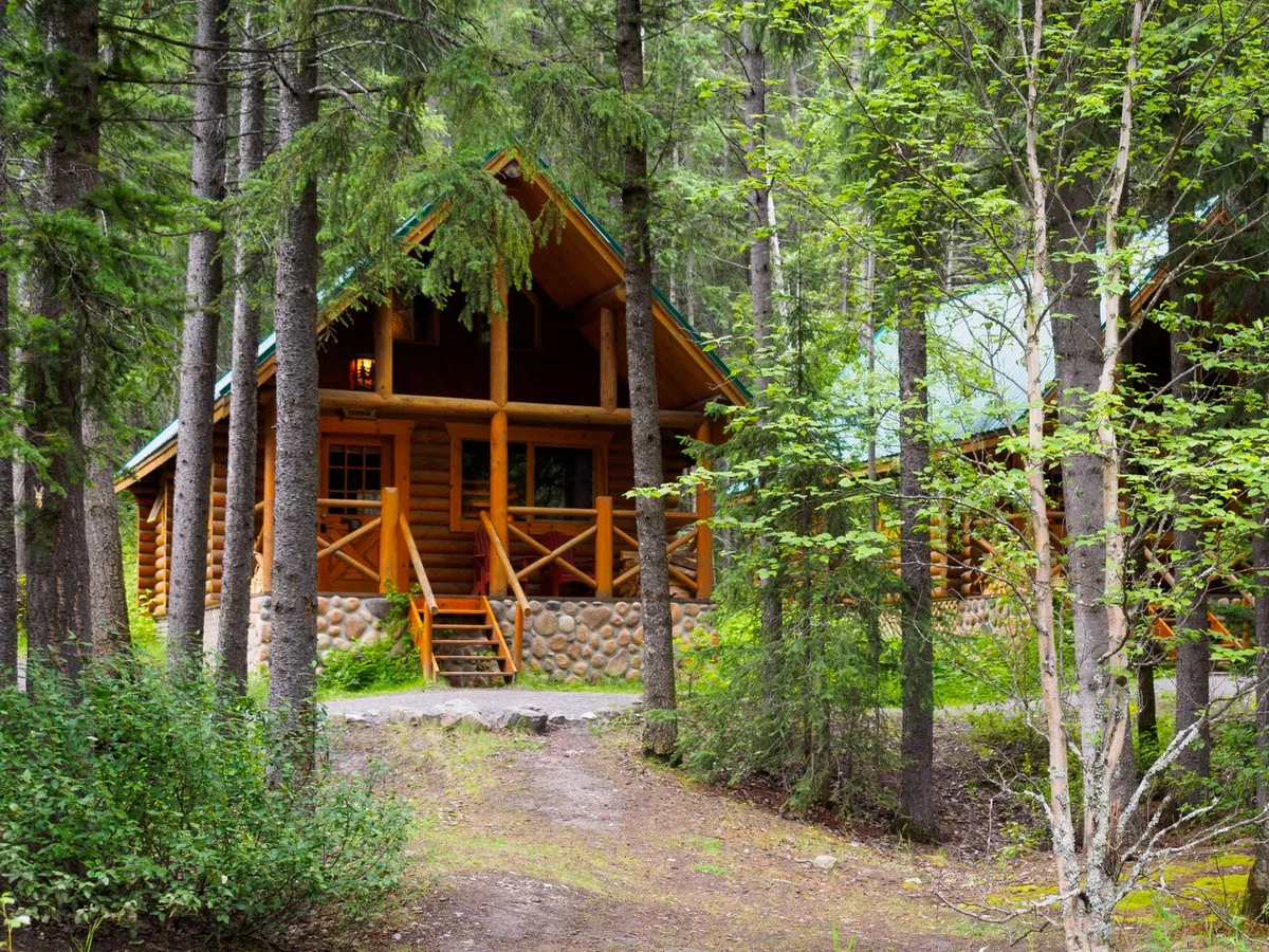A log cabin beside the forest path