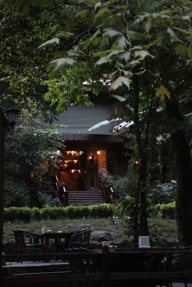 Tucked away beneath the trees