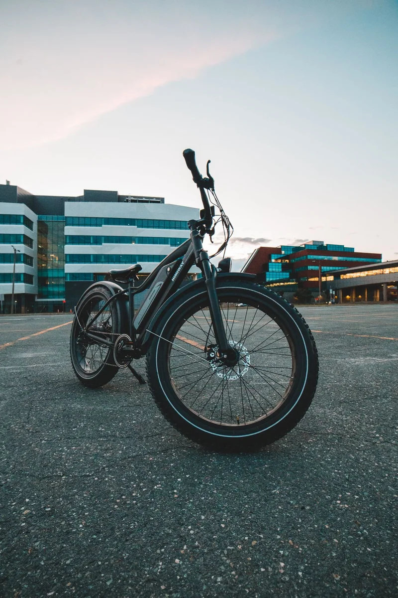 Fat-tire city e-bike, photo 2