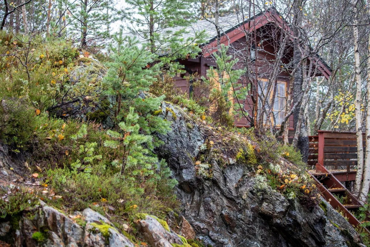A rocky woodland hideaway